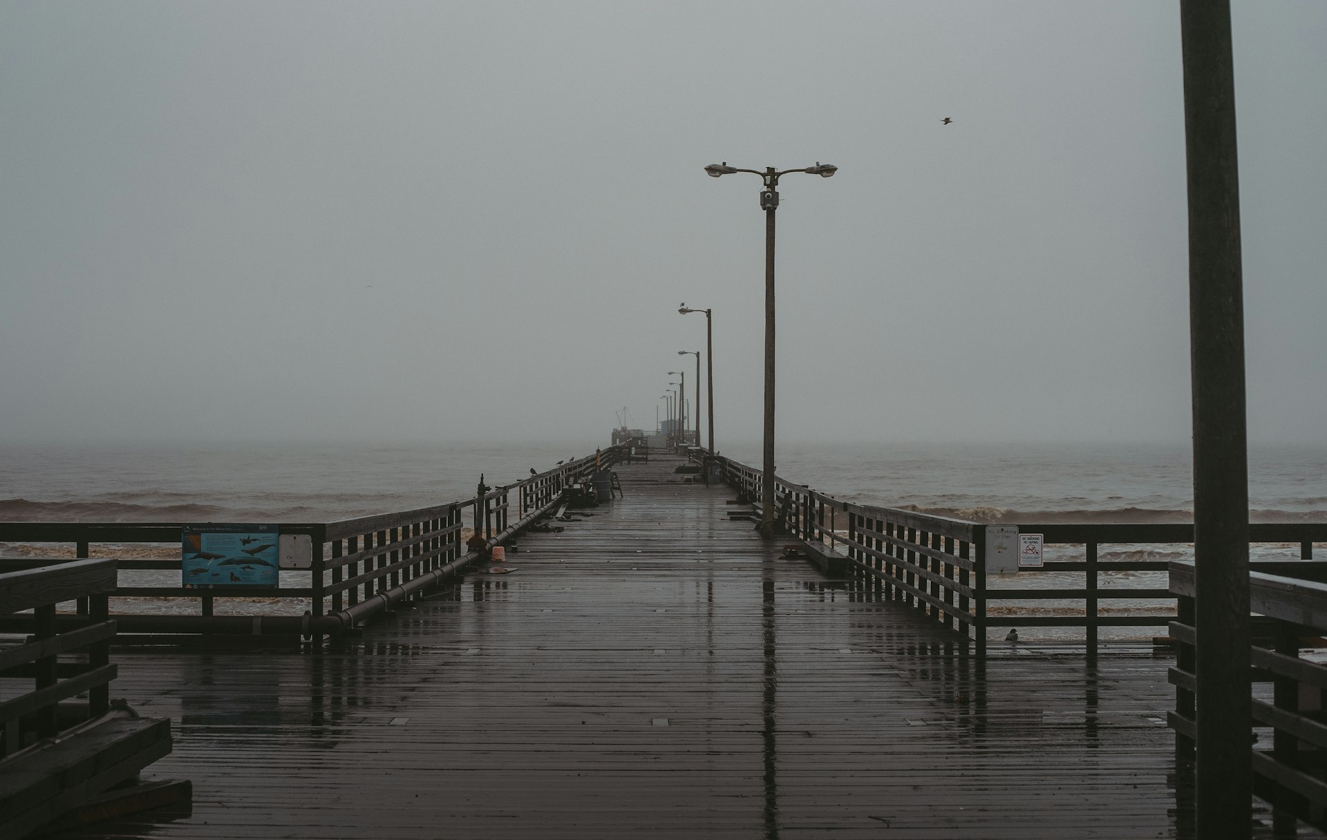 Lamps along the pier in fog