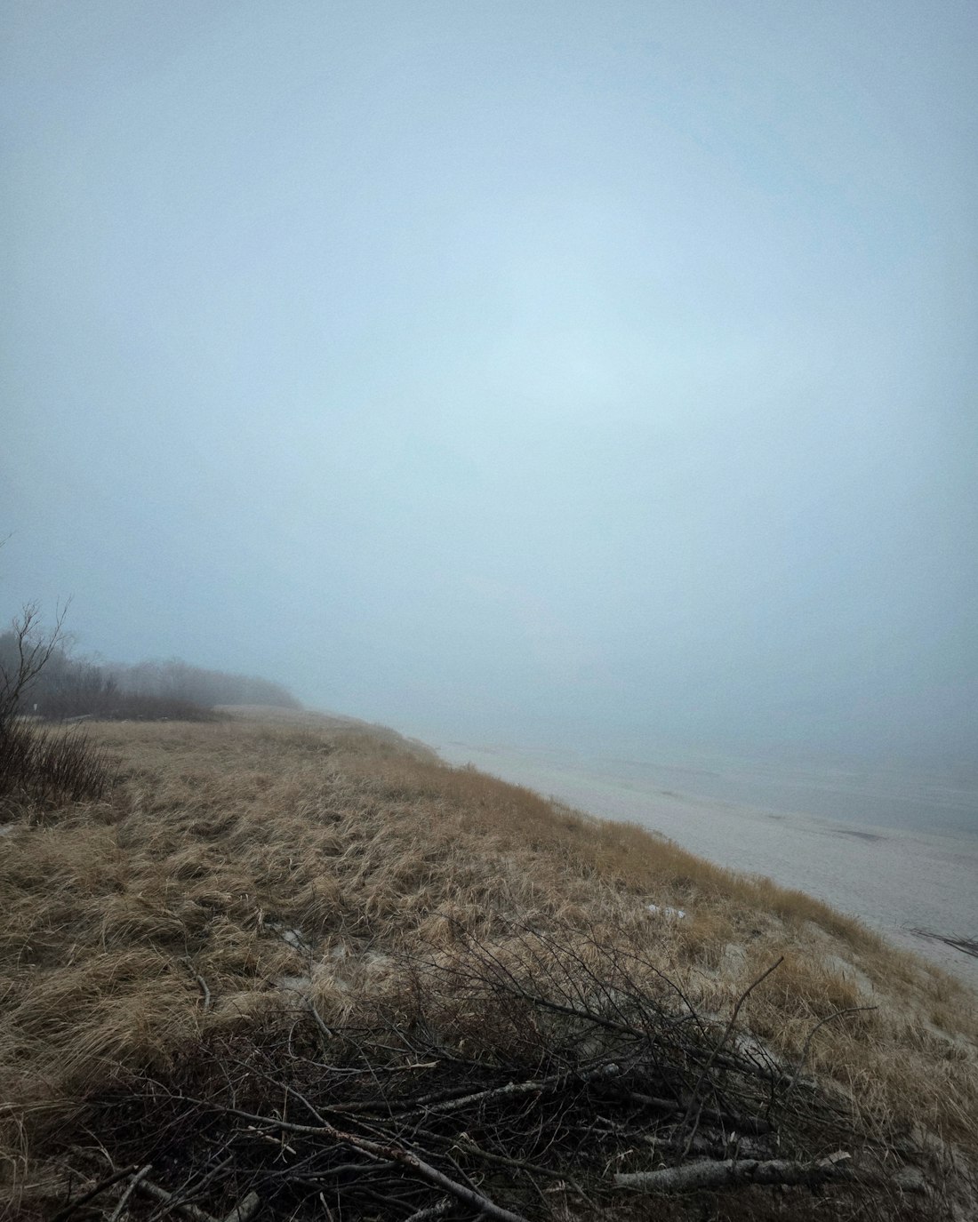 Dune grass and the empty beach disappearing into fog